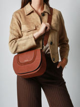 Crossbody Bag M Lasso Leather Etrier Brown lasso ELAS152M-vue-porte